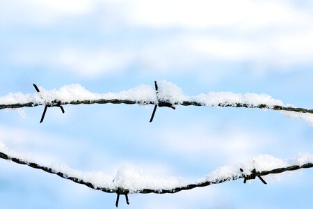 Barbed Wire iron metal photo