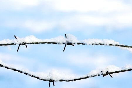 Barbed Wire iron metal