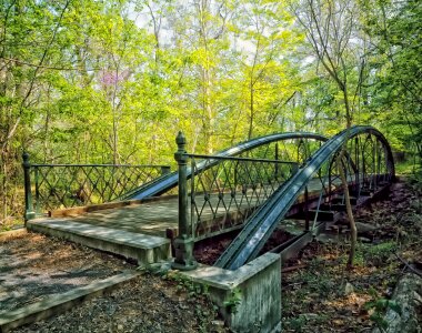 Historic nature outside photo