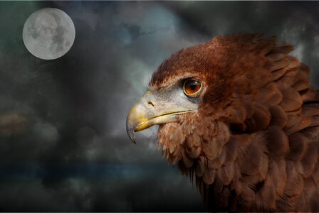 Moon gloomy clouds