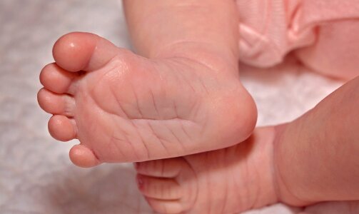 Ten newborn human photo