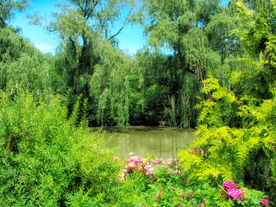 Pond lake water