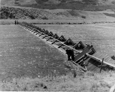 Installation of fish counting weir in Karluk River