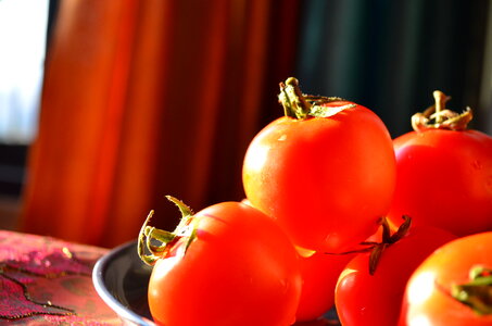 Lots Of Tomatoes photo