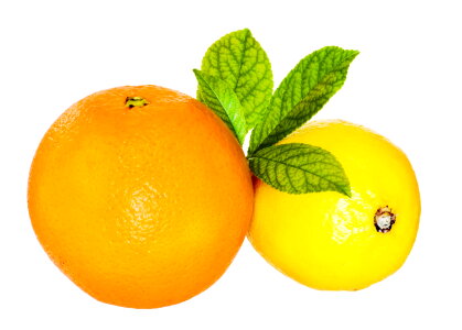 fresh lemon and orange photo