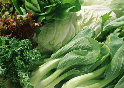 Variety of green vegetables on background