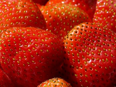 Fruits sweet berries