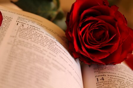 Paper the scriptures god