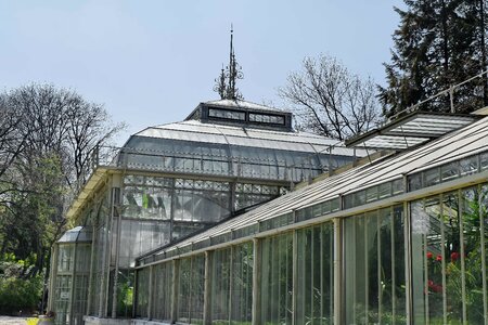 Botanical capital city garden photo