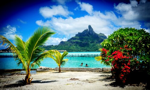 Pacific polynesia french photo