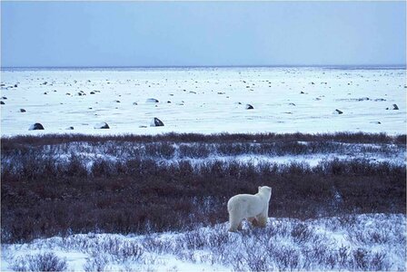 Alaska arctic barrier