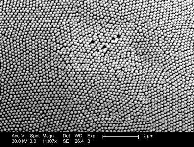 Compound compound eye details