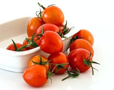Bowl diet dietary