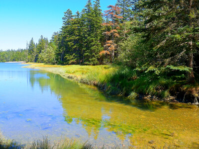 Water and shoreline at Acadia National Park, Maine photo