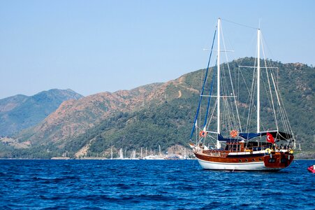 Blue Sky boat forest photo