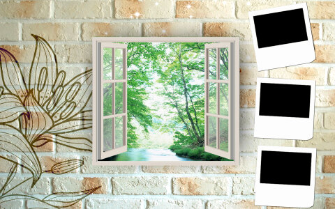 window view isolated photo