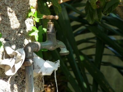 Faucet still life garden