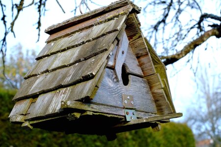 Bird branch house