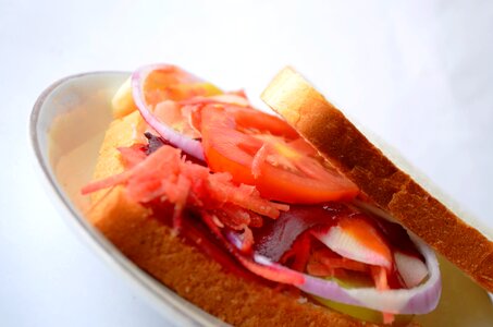 Vegetable Sandwich 8 photo