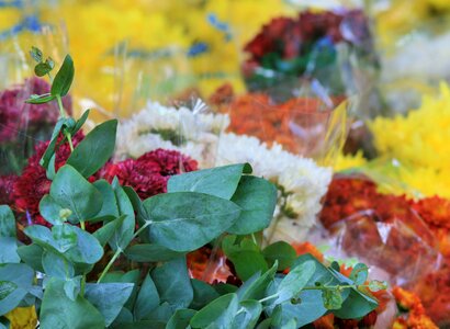 Floral decorations florist