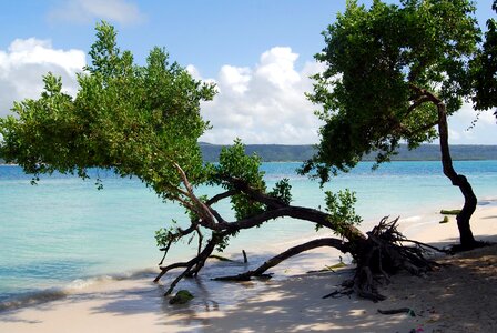 Beach beautiful photo coast