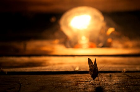 Lightbulb light evening