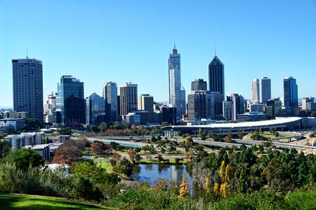 Park australia blue king