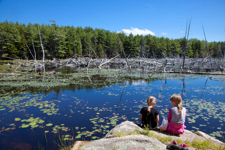 Girls enjoying a frog pond-1 photo