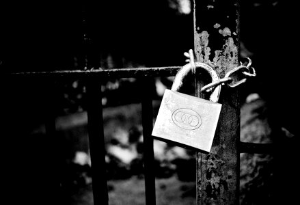 Lock On A Gate Free Photo photo