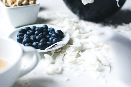 Blueberries on coconut flakes photo