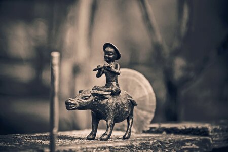 Animal art beautiful