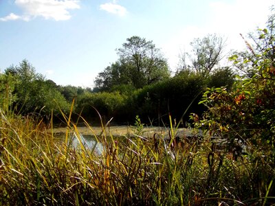 Habitat lake nature