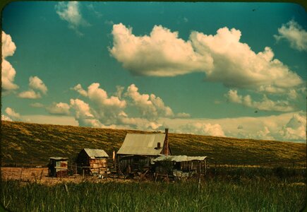 A Black tenant's home beside the Mississippi River photo