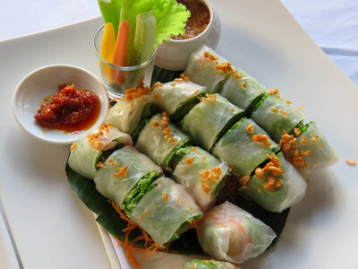 Fresh spring rolls with chicken