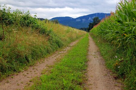 Nature trail dirt track commercial way photo