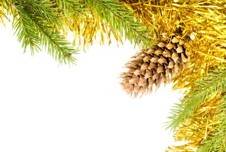 Pine Cone Xmas Decoration photo