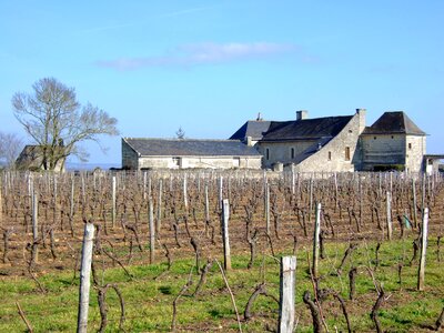 Rural winery countryside