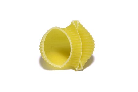 Pasta food noodles