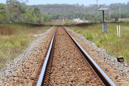 Railway rails sugar cane photo