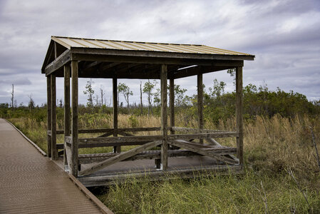 Gazebo along the boardwalk at Okefenokee National Wildlife Refuge photo