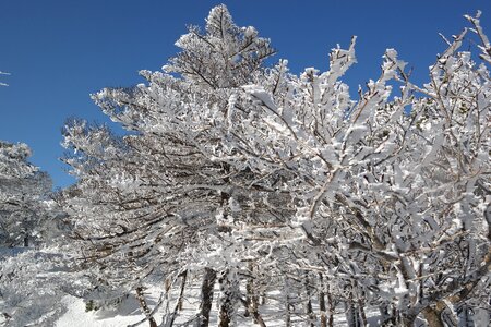 Winter baengnokdam landscape photo