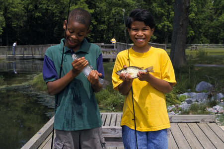 Children Fishing photo