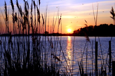 Beautiful Photo dusk lake photo