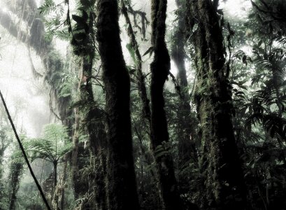 Humid moistly misty