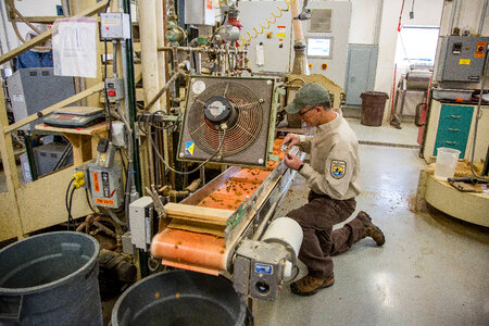 Fish Nutritionist checks quality control of fish food-1 photo