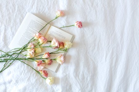 Bedroom With White Flowers photo