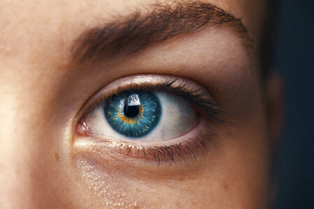 Close up of a Blue Human Eye photo
