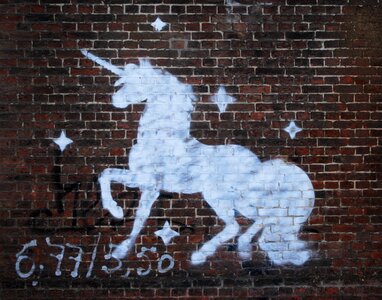 Mural art horse