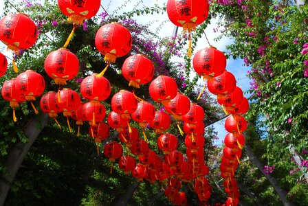 Traditional celebration chinese new year photo