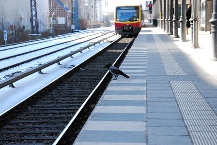 Public means of transport rail s bahn train